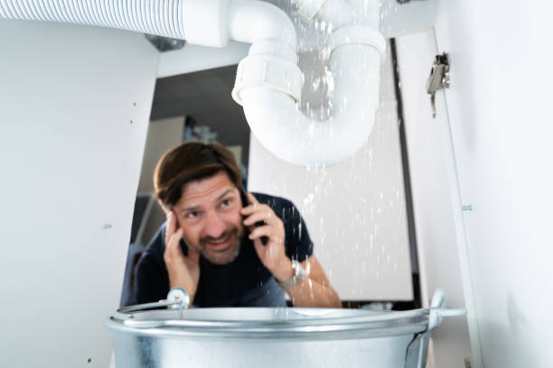 Best Sprinkler Systems  in Quincy, FL