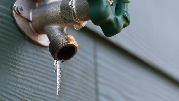 Best Plumbing Services Near Me  in Quincy, FL